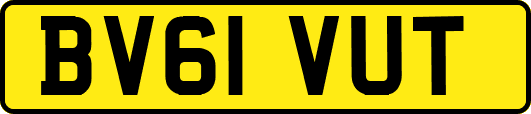 BV61VUT