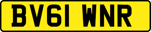 BV61WNR