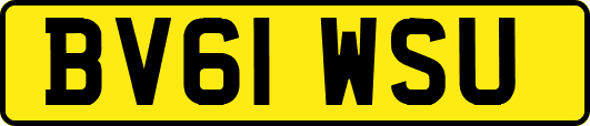 BV61WSU