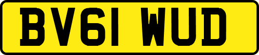 BV61WUD