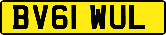 BV61WUL