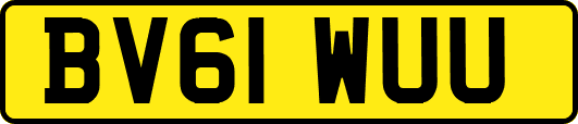 BV61WUU