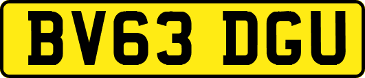 BV63DGU