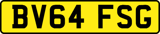 BV64FSG