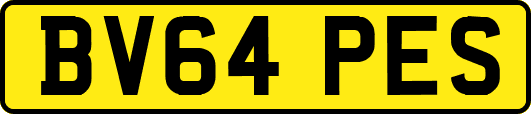 BV64PES