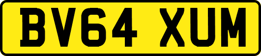 BV64XUM