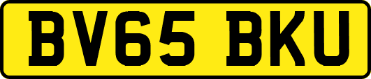 BV65BKU