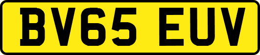 BV65EUV