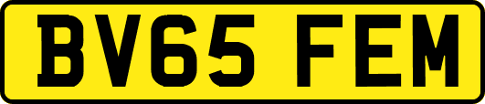 BV65FEM