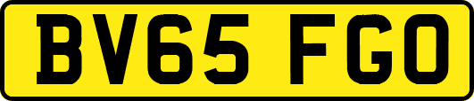 BV65FGO