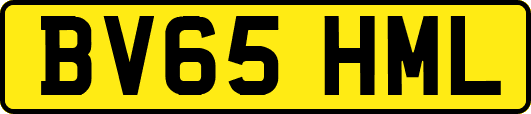 BV65HML