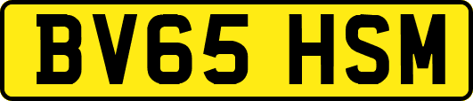 BV65HSM