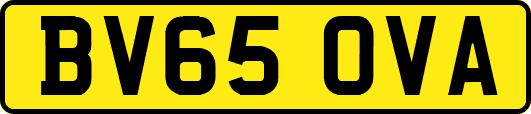 BV65OVA