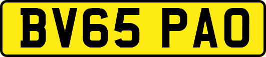 BV65PAO