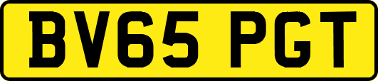 BV65PGT