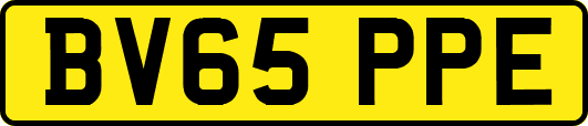 BV65PPE