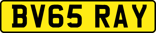 BV65RAY