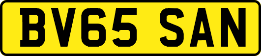 BV65SAN
