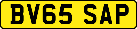 BV65SAP