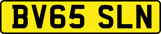 BV65SLN