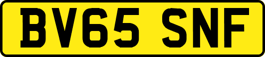 BV65SNF