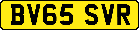 BV65SVR