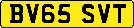 BV65SVT
