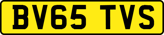 BV65TVS