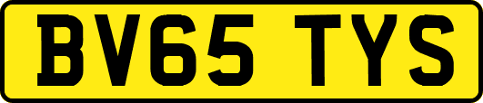 BV65TYS