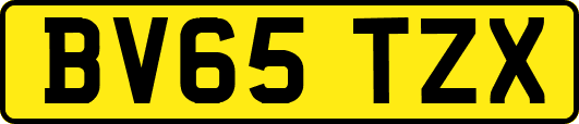 BV65TZX