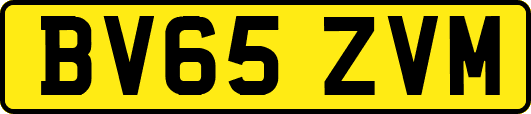 BV65ZVM