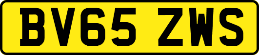 BV65ZWS