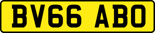 BV66ABO