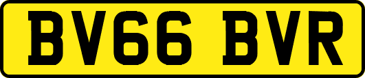 BV66BVR