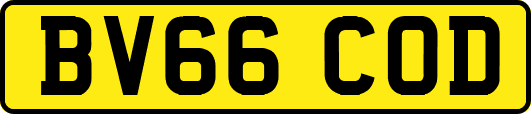 BV66COD