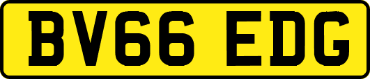 BV66EDG