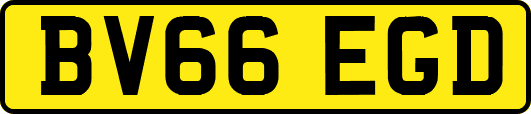 BV66EGD