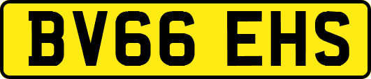 BV66EHS