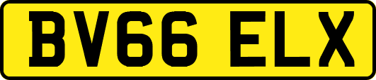 BV66ELX