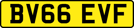 BV66EVF