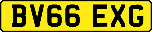 BV66EXG