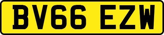 BV66EZW