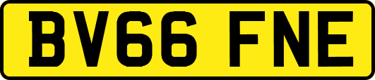 BV66FNE
