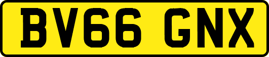 BV66GNX