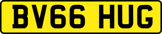 BV66HUG