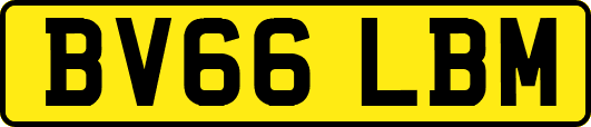 BV66LBM