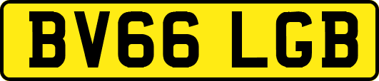 BV66LGB