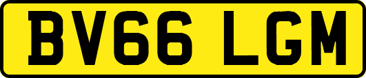 BV66LGM