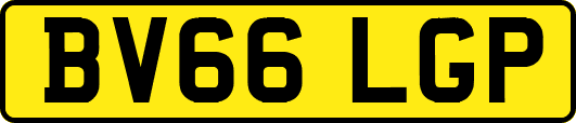 BV66LGP