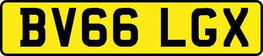 BV66LGX